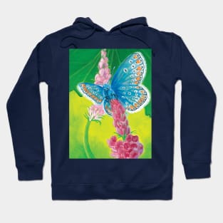 Chapman's blue Butterfly (Polyommatus thersites) on Sainfoin Illustration Hoodie
